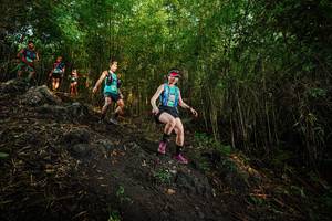 BIB: 
                            <button type="button" onclick="openModal(25102291)" class="btn btn-primary btn-sm float-right btn-popup" data-toggle="modal" data-target=".modal-high-quality">
                        <i class="fas fa-shopping-cart"></i> Add to Cart
                    </button>
                                            <button type="button" onclick="isThisMe(25102291, true)" class="btn btn-success btn-sm float-right btn-popup btn-isme hidden" data-toggle="tooltip" data-placement="bottom" title="นี่คือรูปของคุณใช่ไหม คลิกที่นี่เพื่อเอาเข้าอัลบั้ม">
                        <i class="fas fa-plus"></i> Add to album
                    </button>
                    <button type="button" onclick="isThisMe(25102291, false)" class="btn btn-warning btn-sm float-right btn-popup btn-isnotme hidden">
                        <i class="fas fa-ban"></i> Remove from album
                    </button>